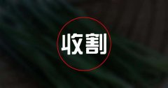 再谈支付业的“割韭菜”，从业者应理智选择，坦然面对